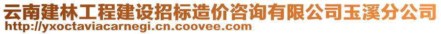 云南建林工程建設(shè)招標(biāo)造價(jià)咨詢有限公司玉溪分公司