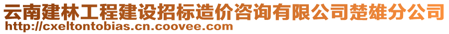 云南建林工程建設(shè)招標(biāo)造價(jià)咨詢有限公司楚雄分公司