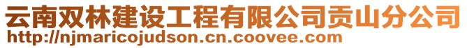 云南雙林建設工程有限公司貢山分公司