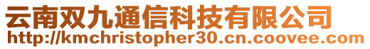 云南雙九通信科技有限公司