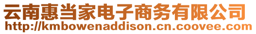 云南惠當(dāng)家電子商務(wù)有限公司