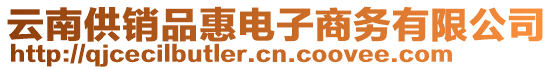 云南供銷品惠電子商務(wù)有限公司