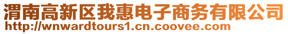 渭南高新区我惠电子商务有限公司