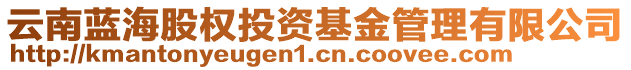 云南藍(lán)海股權(quán)投資基金管理有限公司