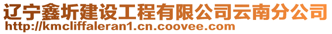 遼寧鑫圻建設工程有限公司云南分公司