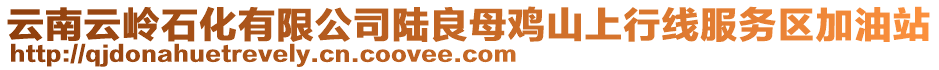 云南云岭石化有限公司陆良母鸡山上行线服务区加油站