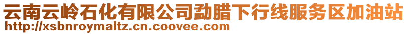 云南云嶺石化有限公司勐臘下行線服務(wù)區(qū)加油站