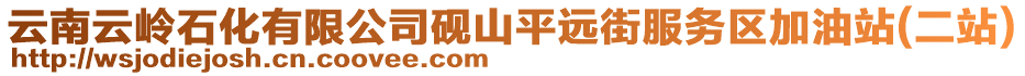 云南云嶺石化有限公司硯山平遠街服務(wù)區(qū)加油站(二站)