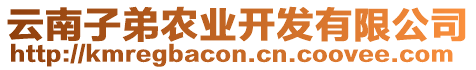 云南子弟農(nóng)業(yè)開發(fā)有限公司