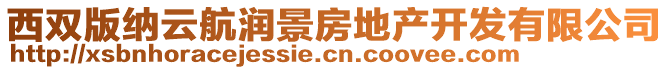 西雙版納云航潤景房地產(chǎn)開發(fā)有限公司