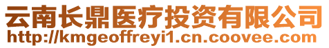 云南長鼎醫(yī)療投資有限公司