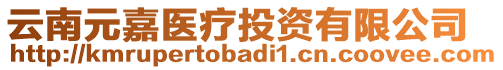 云南元嘉醫(yī)療投資有限公司