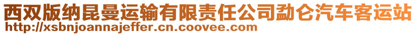 西雙版納昆曼運(yùn)輸有限責(zé)任公司勐侖汽車客運(yùn)站