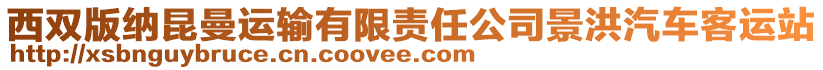 西雙版納昆曼運(yùn)輸有限責(zé)任公司景洪汽車(chē)客運(yùn)站