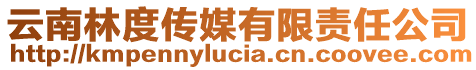 云南林度傳媒有限責(zé)任公司