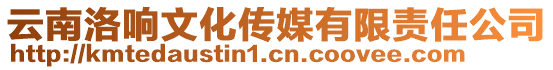 云南洛響文化傳媒有限責(zé)任公司