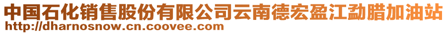 中國石化銷售股份有限公司云南德宏盈江勐臘加油站