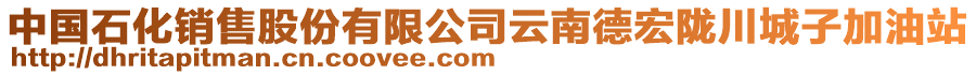 中國石化銷售股份有限公司云南德宏隴川城子加油站