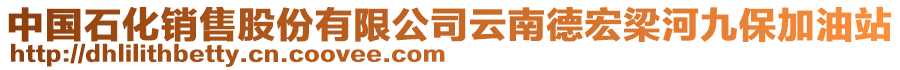 中國石化銷售股份有限公司云南德宏梁河九保加油站