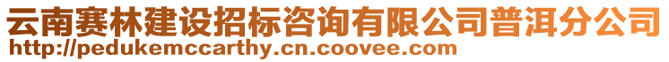 云南賽林建設(shè)招標(biāo)咨詢有限公司普洱分公司