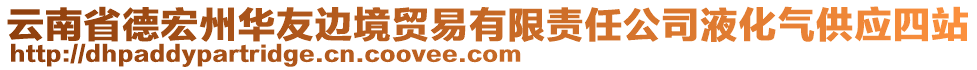 云南省德宏州華友邊境貿(mào)易有限責任公司液化氣供應四站