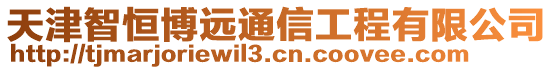 天津智恒博远通信工程有限公司