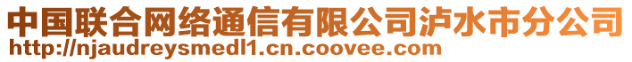 中國(guó)聯(lián)合網(wǎng)絡(luò)通信有限公司瀘水市分公司