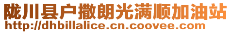 隴川縣戶撒朗光滿順加油站