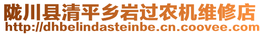 隴川縣清平鄉(xiāng)巖過(guò)農(nóng)機(jī)維修店