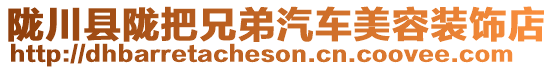 隴川縣隴把兄弟汽車美容裝飾店