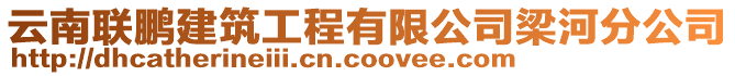 云南聯(lián)鵬建筑工程有限公司梁河分公司