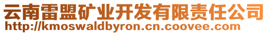 云南雷盟礦業(yè)開發(fā)有限責(zé)任公司