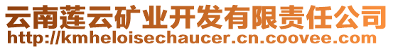 云南蓮云礦業(yè)開發(fā)有限責(zé)任公司