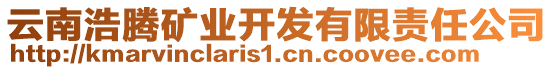 云南浩騰礦業(yè)開發(fā)有限責(zé)任公司