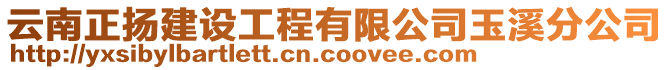 云南正揚(yáng)建設(shè)工程有限公司玉溪分公司