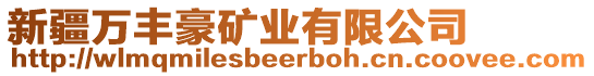 新疆萬豐豪礦業(yè)有限公司