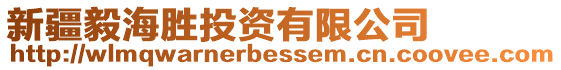 新疆毅海勝投資有限公司