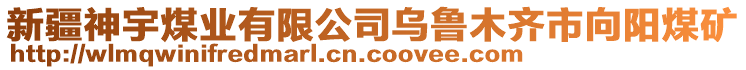 新疆神宇煤業(yè)有限公司烏魯木齊市向陽(yáng)煤礦