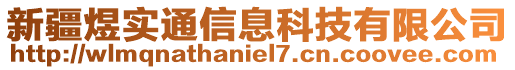 新疆煜實通信息科技有限公司