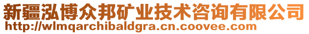 新疆泓博眾邦礦業(yè)技術咨詢有限公司