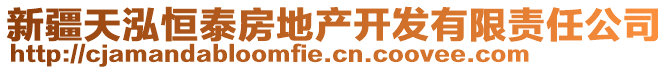 新疆天泓恒泰房地產(chǎn)開發(fā)有限責(zé)任公司