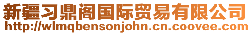 新疆習(xí)鼎閣國際貿(mào)易有限公司