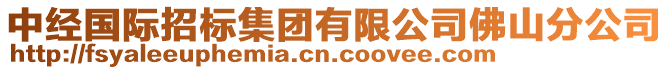 中經(jīng)國(guó)際招標(biāo)集團(tuán)有限公司佛山分公司