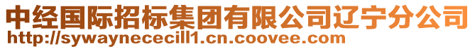 中經(jīng)國(guó)際招標(biāo)集團(tuán)有限公司遼寧分公司