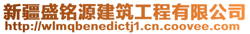 新疆盛銘源建筑工程有限公司