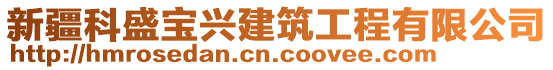 新疆科盛寶興建筑工程有限公司