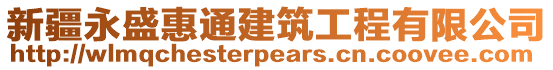 新疆永盛惠通建筑工程有限公司