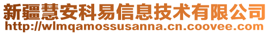 新疆慧安科易信息技術(shù)有限公司