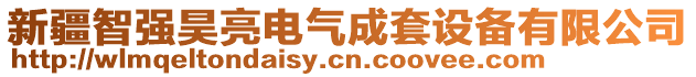 新疆智強(qiáng)昊亮電氣成套設(shè)備有限公司