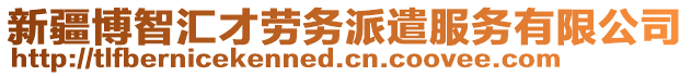 新疆博智匯才勞務派遣服務有限公司